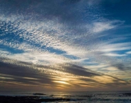 riaan human sunrise