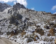 41413721 2244369505794304 1406982972082487296 n