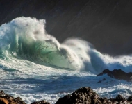riaan human waves1