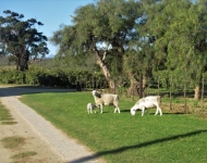 41930288 2249138081984113 4999433496951783424 o